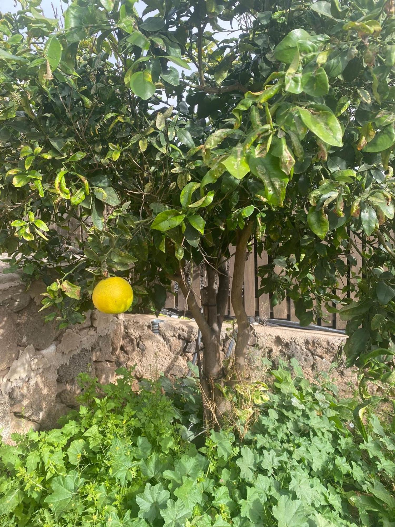 הוילה Vallebron Vallechico מראה חיצוני תמונה